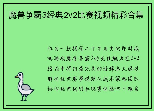 魔兽争霸3经典2v2比赛视频精彩合集