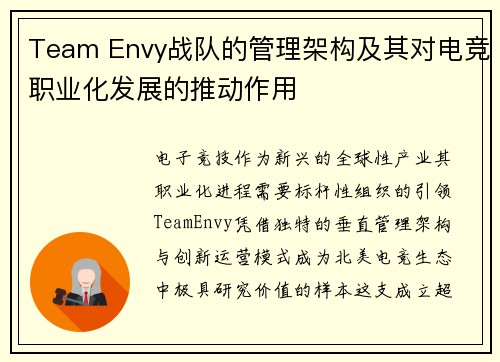 Team Envy战队的管理架构及其对电竞职业化发展的推动作用
